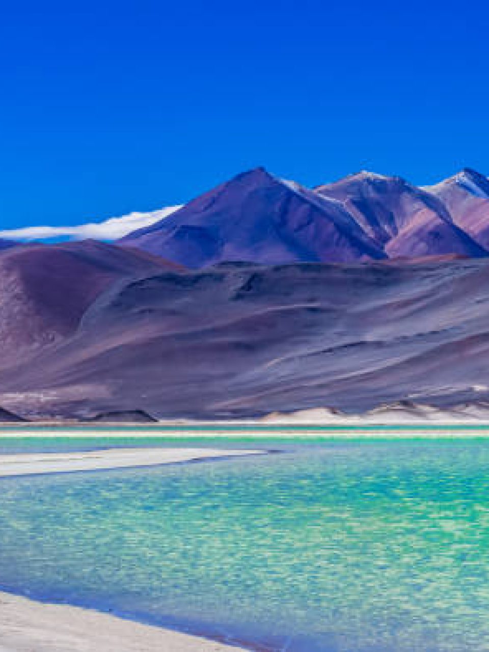 View on Laguna Salar de Talar with the Andes Mountain, San Pedro de Atacama, Antofagasta Region, Chile